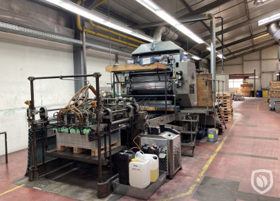 Mailander 169 1-colour UV printing line